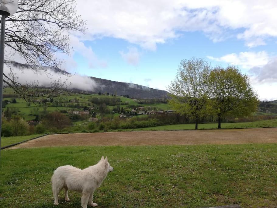 Logement Standing Wifi Vercors 'In Saint-Jean-en-Royans Luaran gambar